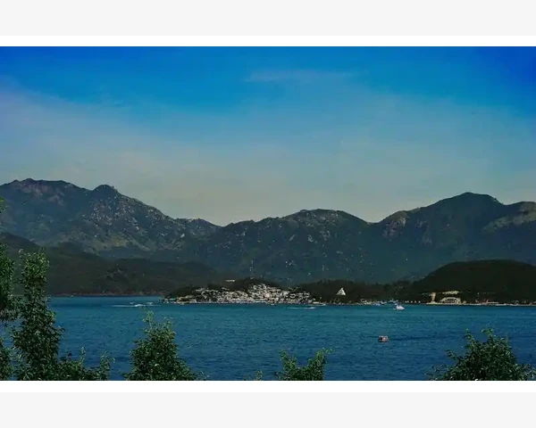 MT4手机端实时查看价格变化操作全流程解析