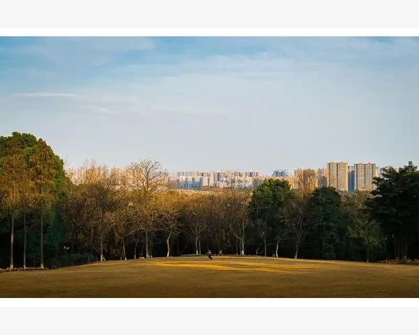 MT4图表显示模式一键切换技巧