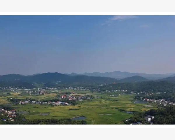 中国电信B2B新玩法企业采购与服务的数字化升级_数据要复盘，别靠感觉瞎忙活