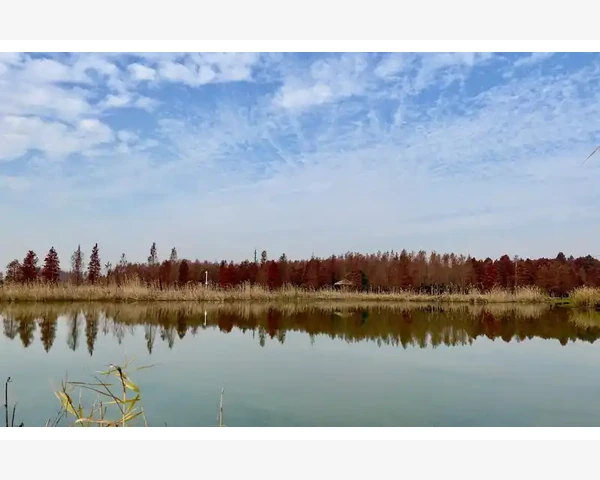 B2B系统是什么企业交易运转的核心引擎_建立长期合作关系巩固市场份额基础