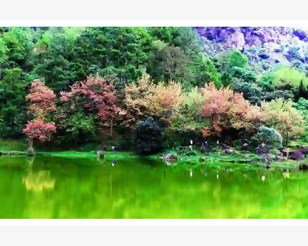 MT4电脑版安装报错频频卡壳的真相与修复_常用形态指标的分类与搭配技巧